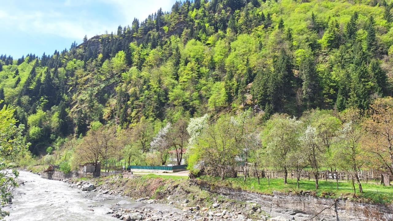 Guest House "Svaneti" Lentekhi Buitenkant foto