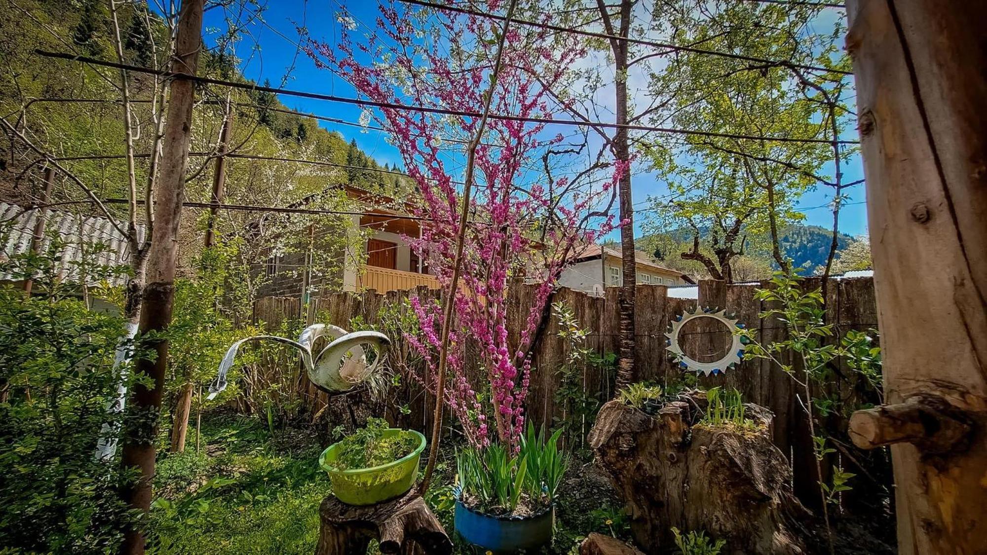 Guest House "Svaneti" Lentekhi Buitenkant foto